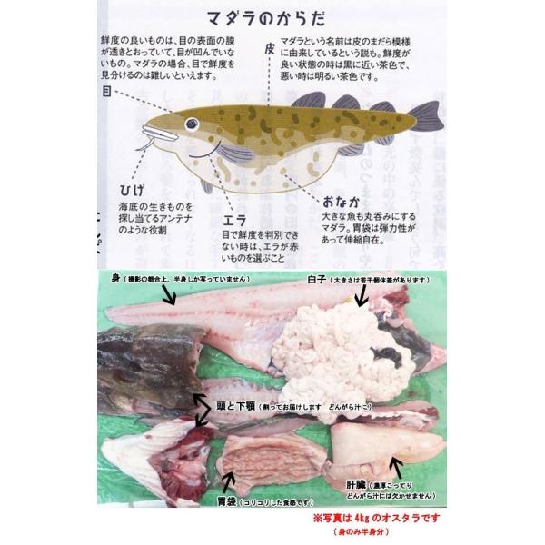 山形県産 真鱈 寒鱈 オス 白子 4ｋｇを半身 4 5人前 マダラ 真ダラ 寒ダラ 鱈 1月中旬より順次発送 Buyee Buyee 日本の 通販商品 オークションの入札サポート 購入サポートサービス