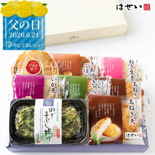 父の日 お中元 ギフト プレゼント 内祝い さつま揚げ おつまみ 練り物 食べ物 2026 選味食べ比べセット ねぎまぶし揚げ 化粧箱入り 岡山 誕生日  70代 80代
