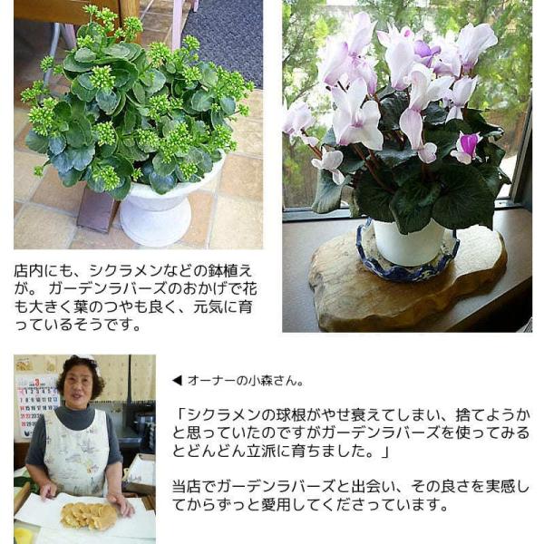プレゼント おすすめ お返し ガーデニング 有機肥料 液体肥料 ガーデンラバーズ 500ml Buyee Buyee Japanese Proxy Service Buy From Japan Bot Online