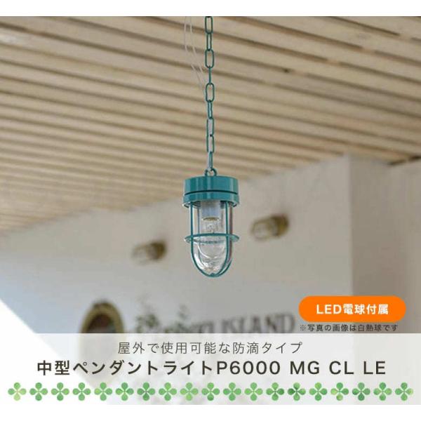 y_gCg LEDCg  O hHdl AeB[N }Cg P6000 MG CL LE