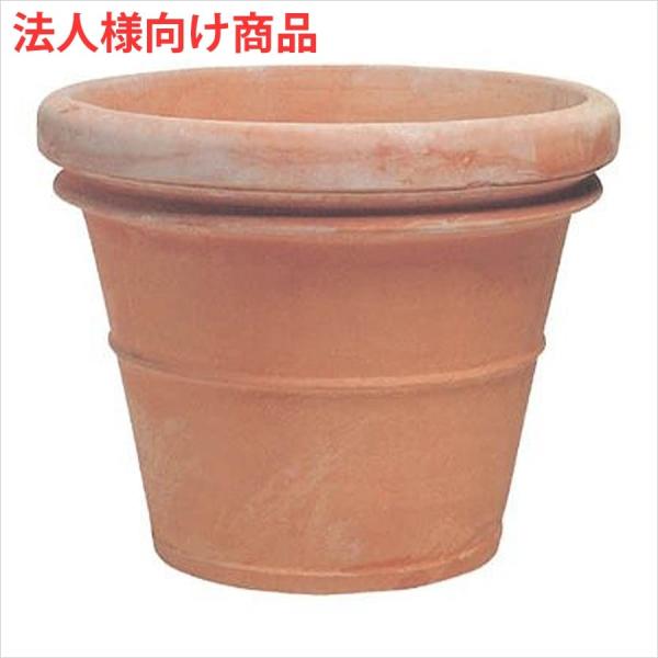 v^[ Aؔ ^  eRb^ xmb` |bg 125L ^Eꌊ u@llv