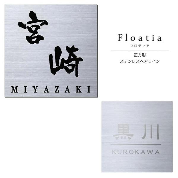 \D  ˌ XeX wAC Vo[ ` Floatia teBA FLT1-S1