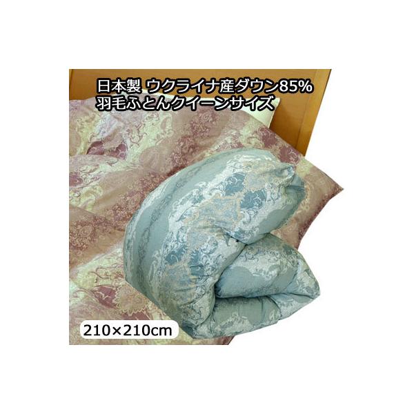 { ENCiY Vo[_bN_E 85 Hъ|ӂƂ Hѕzc _Ep[320 NC[ 210×210cm