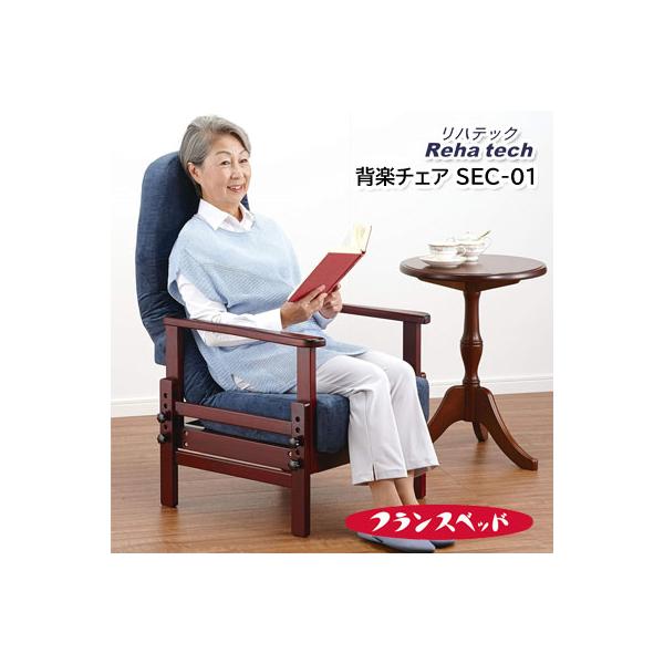 リハテック フランスベッド 背楽チェア 高座椅子 一人掛け Reha