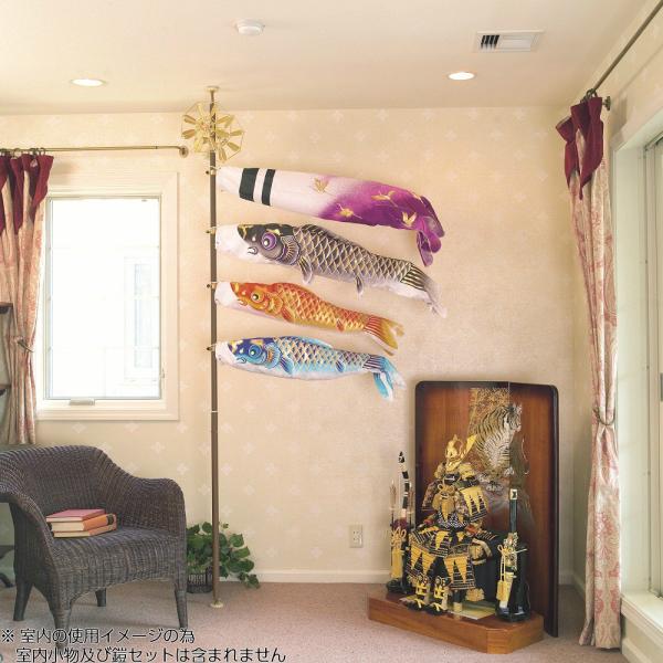 ̂ڂ   y ǂł ̂ڂ 1.2Zbg z  (ߋ ܌   m ǂ̓ 5 ܌ Cxg j̎q ߋ v[g