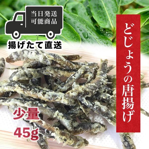 手作りのどじょうの唐揚げ当店では1か月平均６０kg、繁忙期では８０kgのどじょうの取り扱い実績があります。その９割が当店ではドジョウのから揚げで販売しています。近隣の道の駅、直売所で販売し、常連様からの信頼も厚い人気商品です。揚げたて直送、...