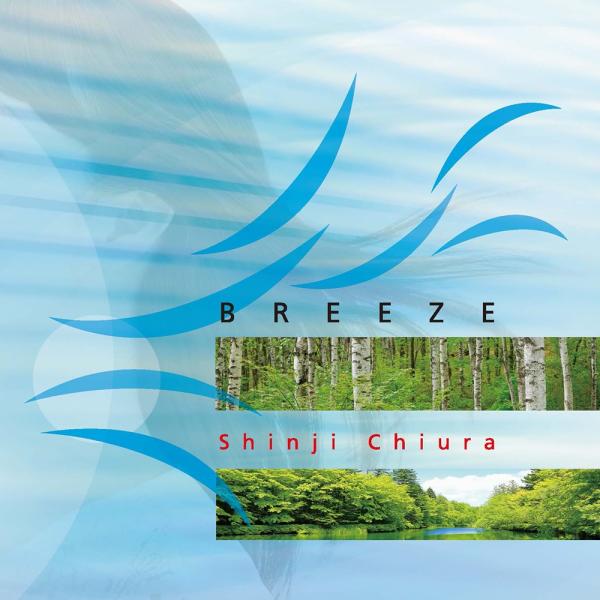 [Release date: March 5, 2020]2008年発売の「BREEZE」を奇跡の周波数528Hzでリメイク。全編に穏やかなリズムが流れ、深くゆったりとした呼吸へと導きます。心と体が自然とリラックスし、ヨガや瞑想、胎教、リラ...