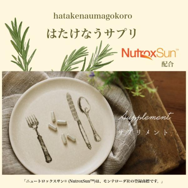 【販売業者名】　株式会社アンドチャッピー【    商品区分】　健康食品(一部栄養機能食品ビオチン)【       製造国】　日本製【     保存方法】　直射日光・高温多湿を避け清潔に保って下さい。冷暗所に保存【　製品内容】　ニユートロック...