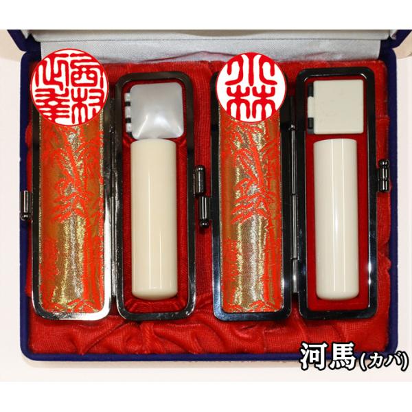 lp 蒤 2{Zbg Es CJ  ͔n (Jo) 񂩂 15mm+12mm@͂