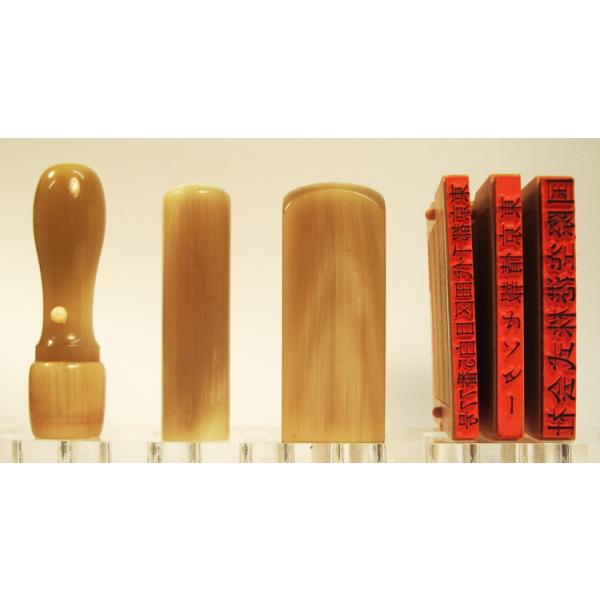 @lp 蒤 @lӃZbge I_iIށj 18mm×s16.5mm{p21mm{S