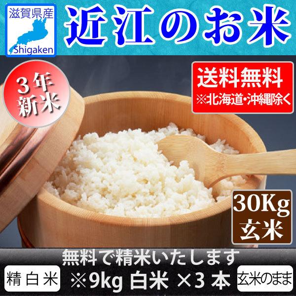 近江米コシヒカリ玄米30㎏