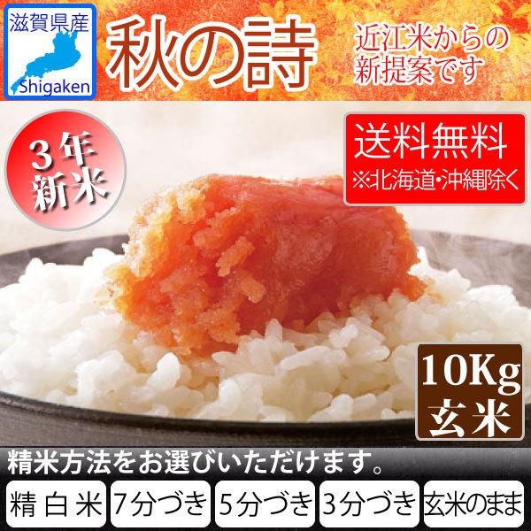 新米　滋賀県　秋の詩　10kg 秋の詩 令和4年新米 滋賀県産秋の詩10Kg玄米 【精米方法が選べます