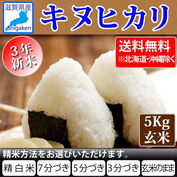キヌヒカリ 令和4年新米 滋賀県産キヌヒカリ5Kg玄米 【精米方法が選べ 
