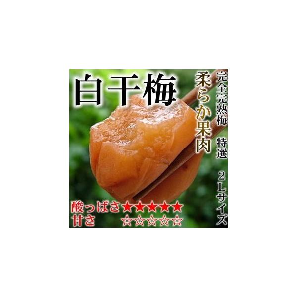 梅干し 酸っぱい梅干し 特選2lサイズ はてなしシリーズ 白干梅 しらぼしうめ 塩分12 800ｇ Buyee Servis Zakupok Tretim Licom Buyee Pokupajte V Yaponii