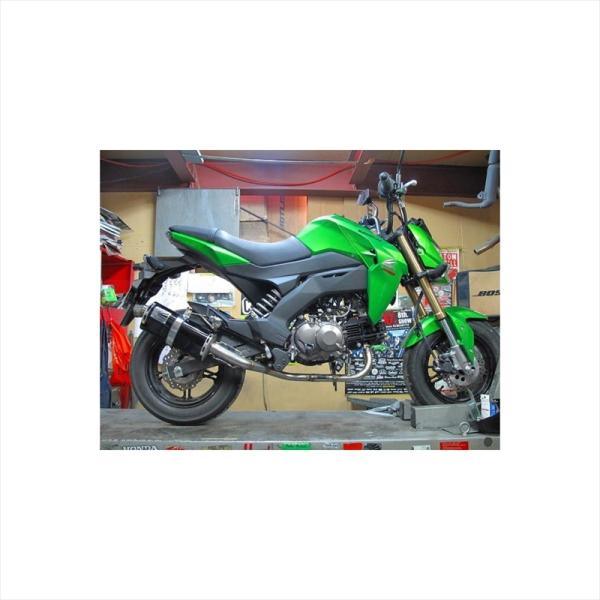 バイクパーツ マフラー ホットラップ レーシングダウンマフラー RG