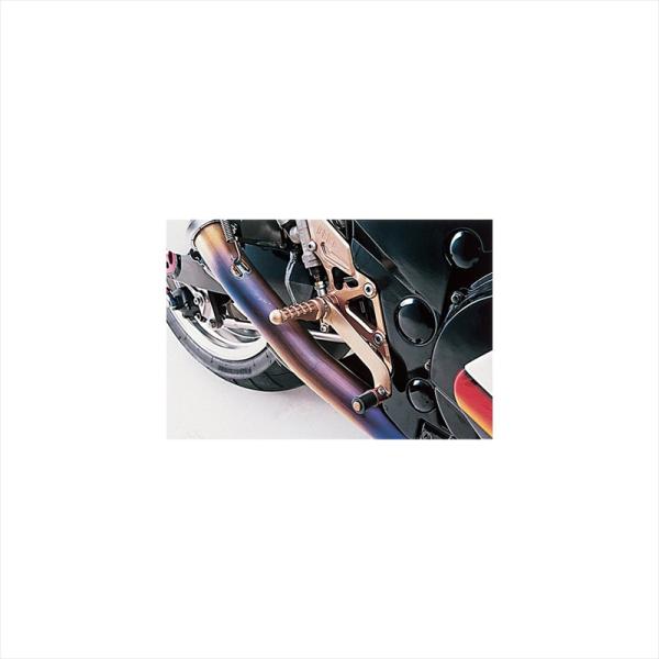 ビート ハイパーバンク 固定式 SLV 0111-K29-20 ZZR1100/ZX-11 90-92