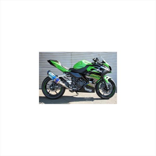 ビート ナサートR-Evo TYPE2 ブルーTI 1002-B56-BL NINJA250/400 18