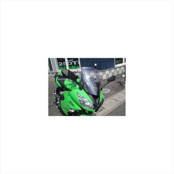 バイザーFRP バイクパーツ 外装 プレジャー バイザーリフトプレート FRPブラック