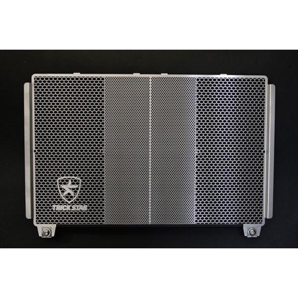 gbNX^[ WG^[RAK[h Vo[ Z900RS 21-/Z900 18-21/Ninja1000SX 20- AVHG-033-SV