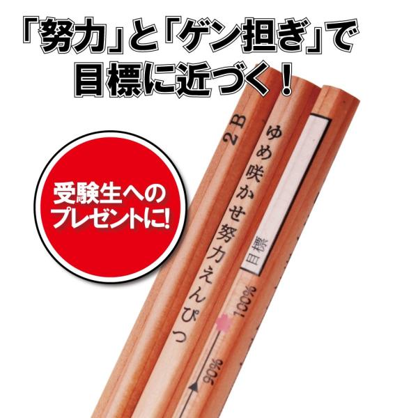 ゆめ咲かせ努力えんぴつ（3本入り）送料￥250(8個まで) : 発明学会