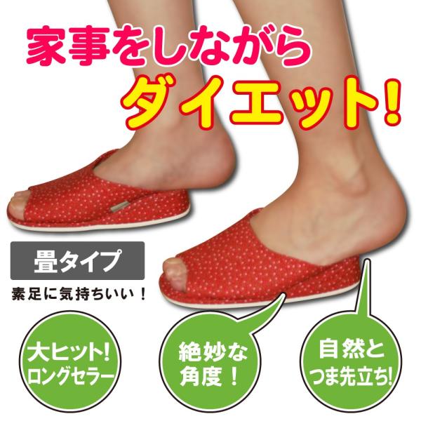 フラグラント 増幅器 有効な 脚 やせ スリッパ At Leafcafe Jp