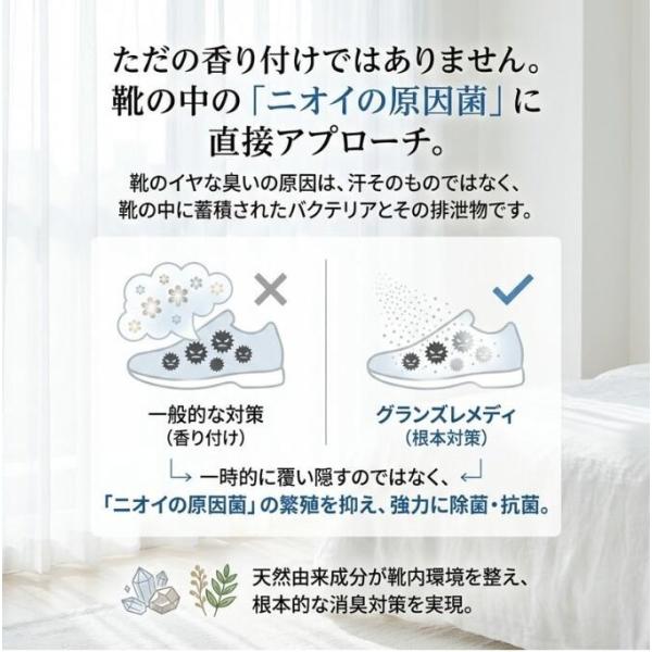 hattenba-store_grans-01_1_d_20260316185757