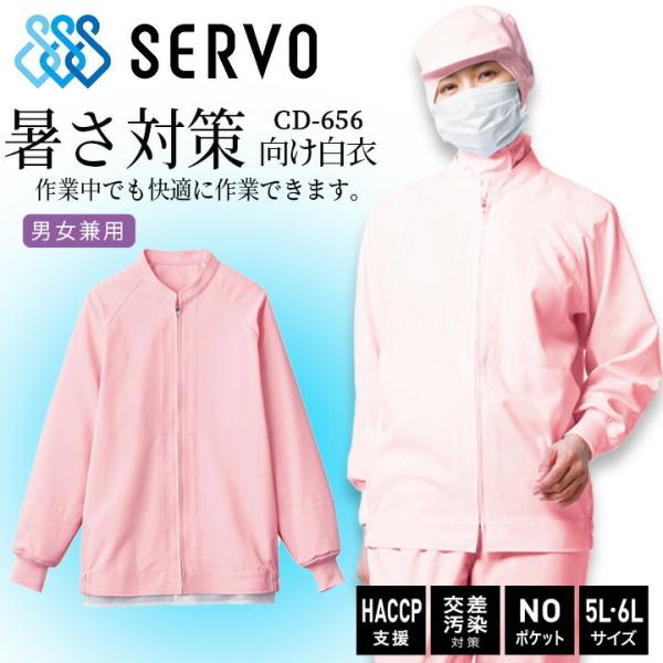q q HiHꔒ Wo[ sarvo T[H cd656 㒅 sN R Ód Xgb`  jtH[ haccp  jp