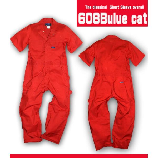 (ėp Ȃ ) (Ȃ ) (608) (ciMEȂ) (HEԉpB) (ƕ jtH[) (_X) (an)