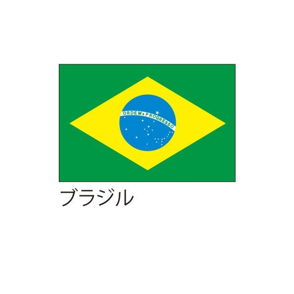 CONTEMPORANEA タンバリン ブラジル国旗デザイン2個セット CONTEMPORANEA タンバリン ブラジル国旗デザイン2個セット