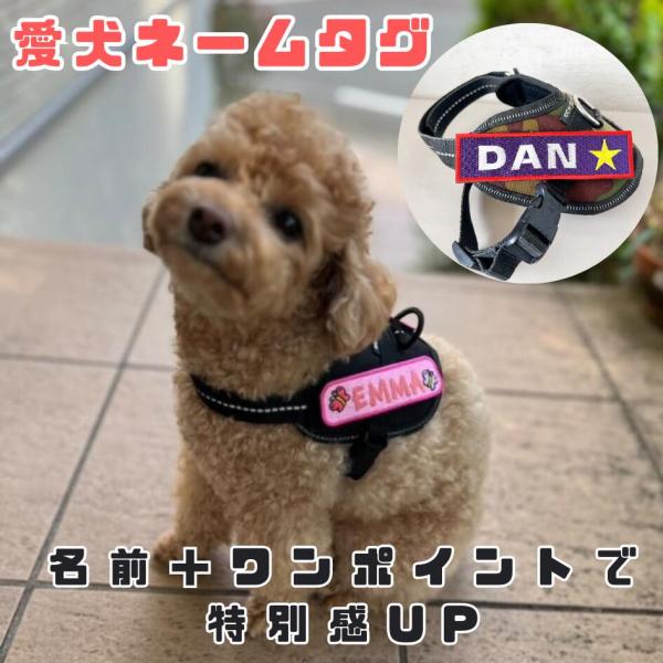 ユリウスネームタグオーダー用画像 お名前刺しゅう ユリウス ハーネス 名前 ユリウスk9 ネームタグ