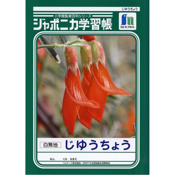 自由自在 5冊セット 中学生向け　令和3年2月1日全訂第1刷発行 楽天市場】【子供乗せ】全国7分組立配送 完組配送も可（一部地域