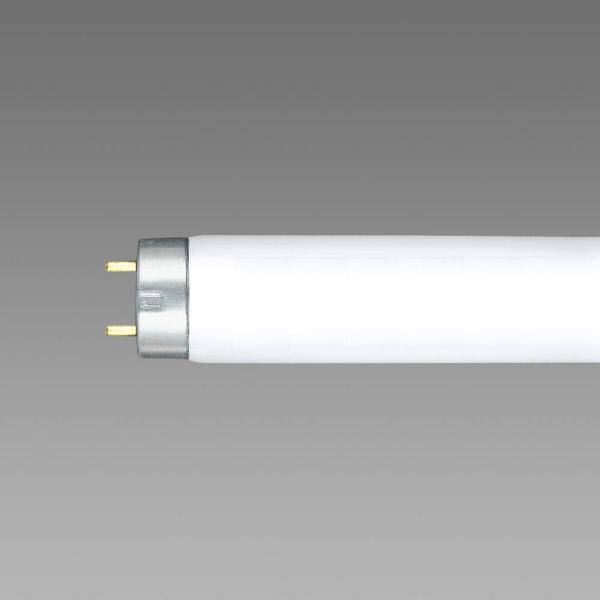 NECライティング NEC FL10N 10W