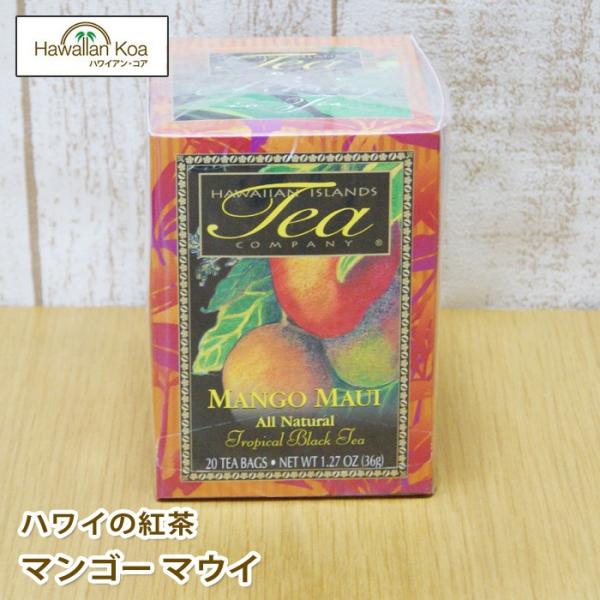 nC g  t[ceB[ nCAACh }S[E}EC n[ueB[ 20eB[obO ACXeB[