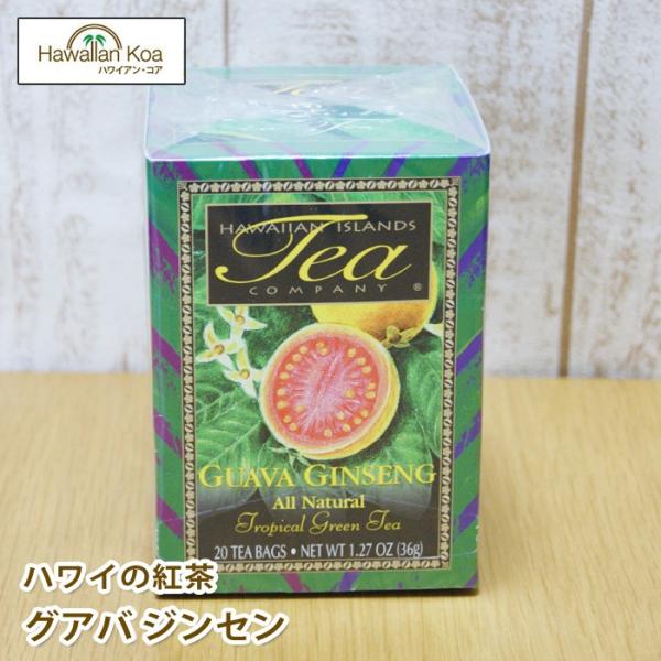 nC g  t[ceB[ nCAACh OAoEWZ 20eB[obO t[o[eB[ ACXeB[