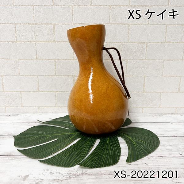 イプ フラダンス楽器