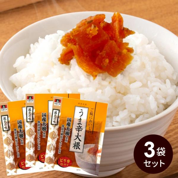 3袋セット 会津天宝 ご飯においしい うま辛大根 合計240g メール便 1袋