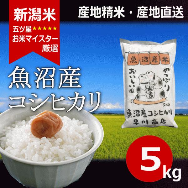 コシヒカリ 魚沼産コシヒカリ 5kg 令和7年産 : 新潟米 早川米穀店