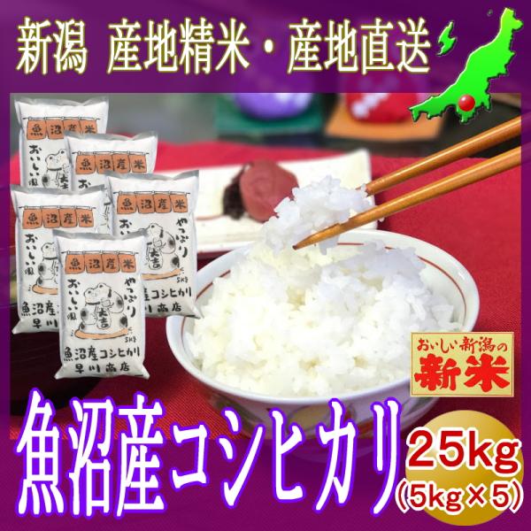 コシヒカリ 魚沼産コシヒカリ 25kg (5kg×5） 魚沼 こしひかり 令和6 