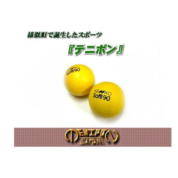 様似町で誕生したスポーツ　テニポン テニポン用ボール 【1個】