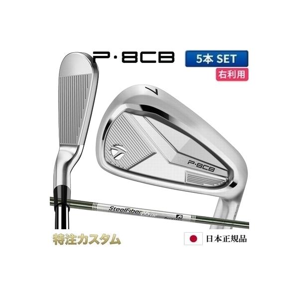 P700シリーズ テーラーメイド P8CB アイアン 5本セット（#6-PW）日本