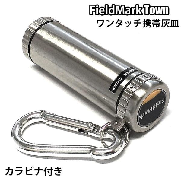 hayamipro_ashcylinder-town