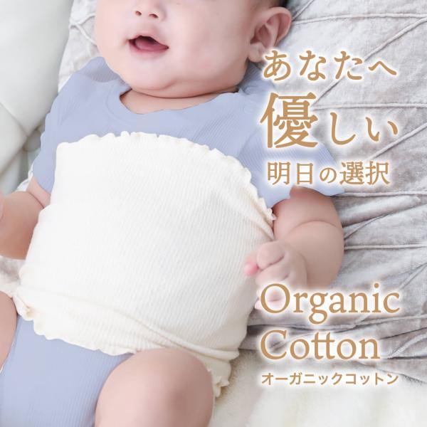 ハヤシニット ベビー腹巻き キッズも オーガニックコットン 寒さ対策 冷房 冷え対策 キッズ ベビー腹巻（ 2092 ）