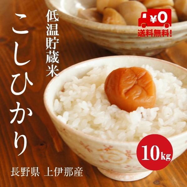 令和７年産 長野県 上伊那産 こしひかり １等米 白米 ５kg×2袋
