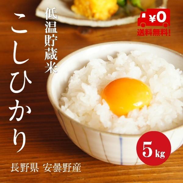 令和７年産 長野県 安曇野産 こしひかり 白米 ５kg