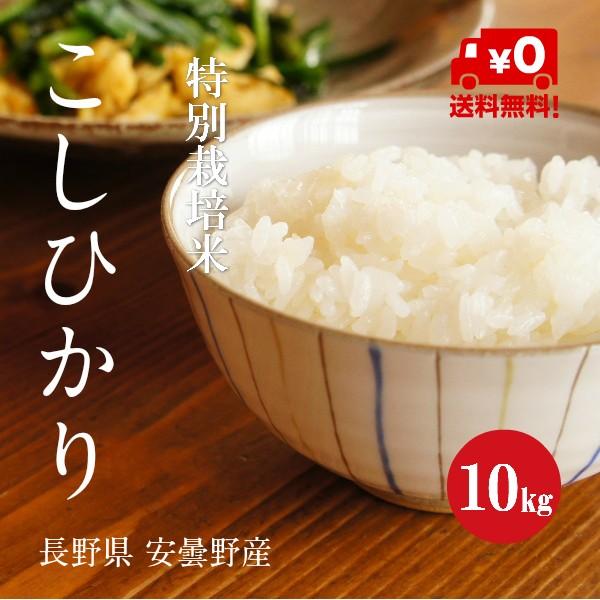 令和７年産 特別栽培米 こしひかり 安曇野産 １等米 白米 ５kg×２袋