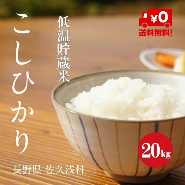 コシヒカリ 令和6年産 長野県産 こしひかり 浅科産 1等米 白米 20kg  