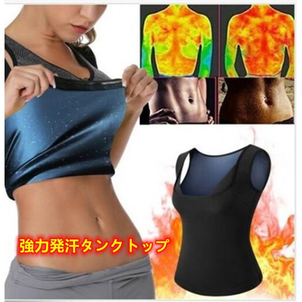 TEiVFCp[ ^Ngbv TEiX[c  Ci[ fB[X _CGbg S`3XL