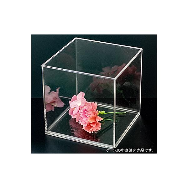 yFzANP[X (2~)(O)(200~)s(200~)(200~)