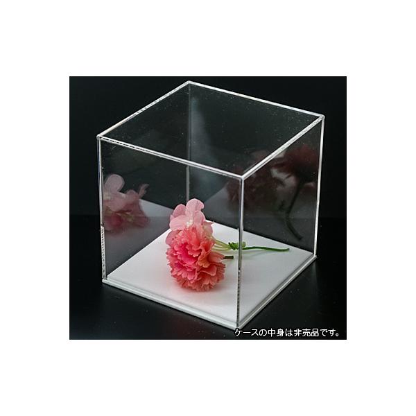yFzANP[X (2~)(O)(250~)s(250~)(250~)