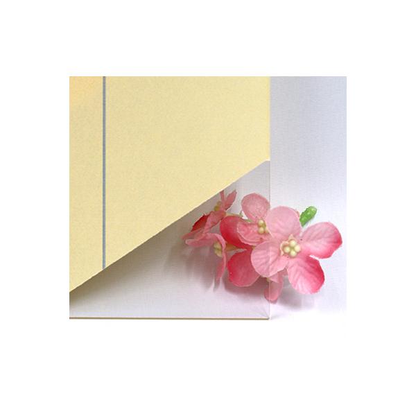 AN (o)ANCg EX(10~)220×300